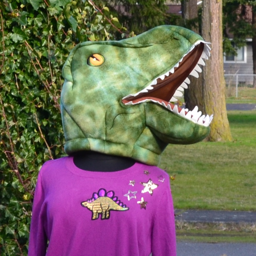 NWT Lane Bryant 18/20, 22/24 Dino Sweater - Picture 1 of 7